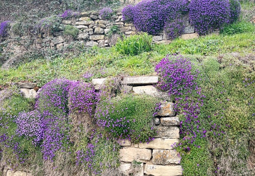 23-03-17 15-12-18 4928